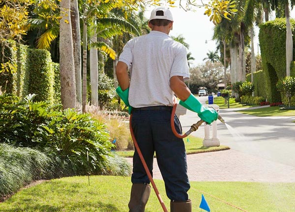 About Springdale PA Pest Control Pros